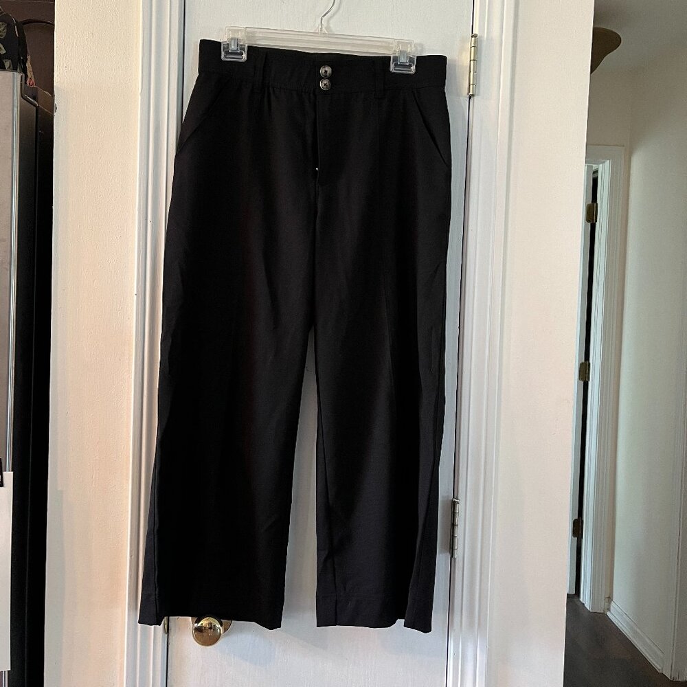 Democracy Black Ankle Pants